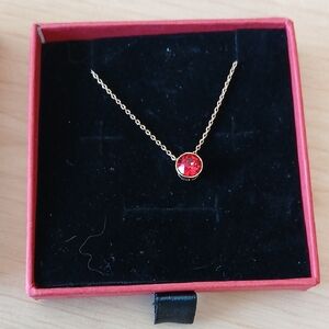 Rose Gold Plated Necklace with Red Accent